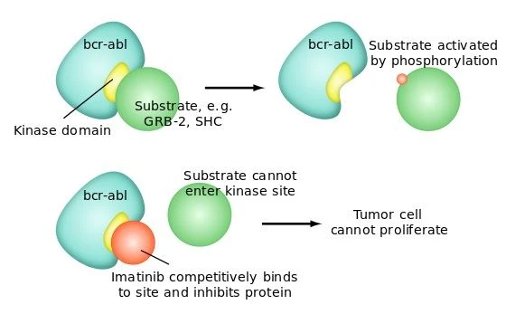 Nuevo fármaco pesado antitumoral de clase 1 Imatinib 152459-95-5