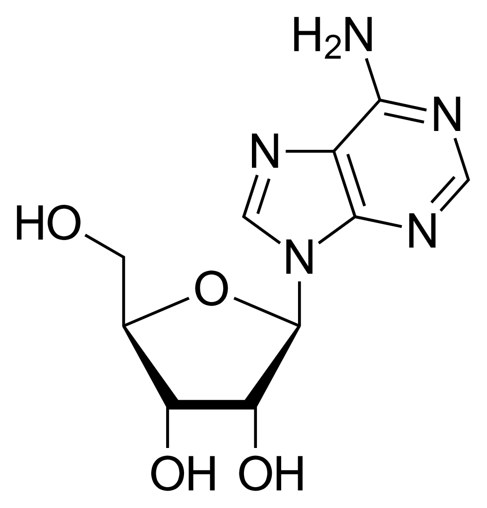 Adenosine MF Adenosine MF